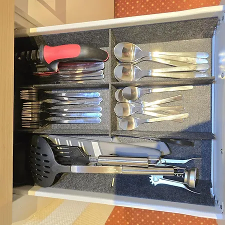 Daire Blackforest In Nature