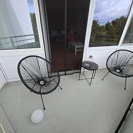 Blackforest In Nature *