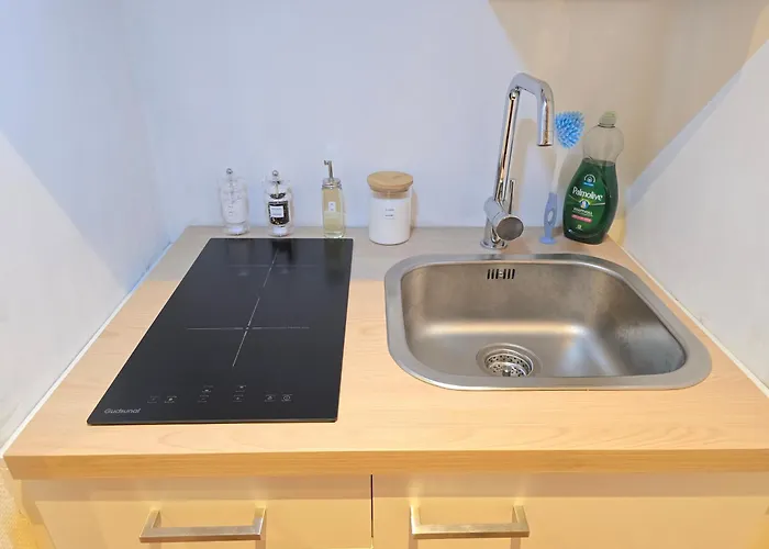 Blackforest In Nature