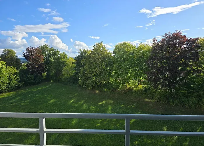 Blackforest In Nature *